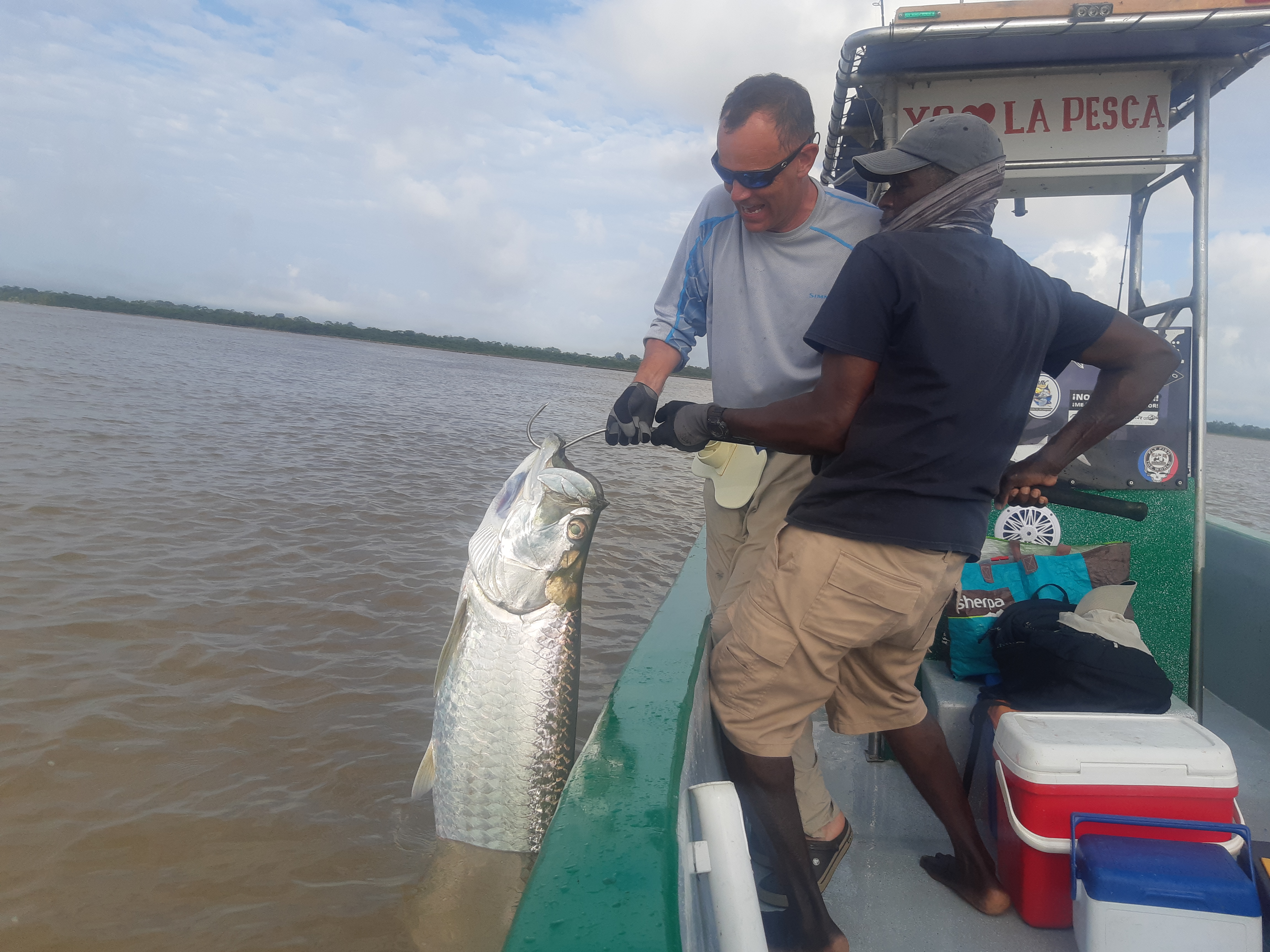 Tarpons Buena Vista Sport Fishing