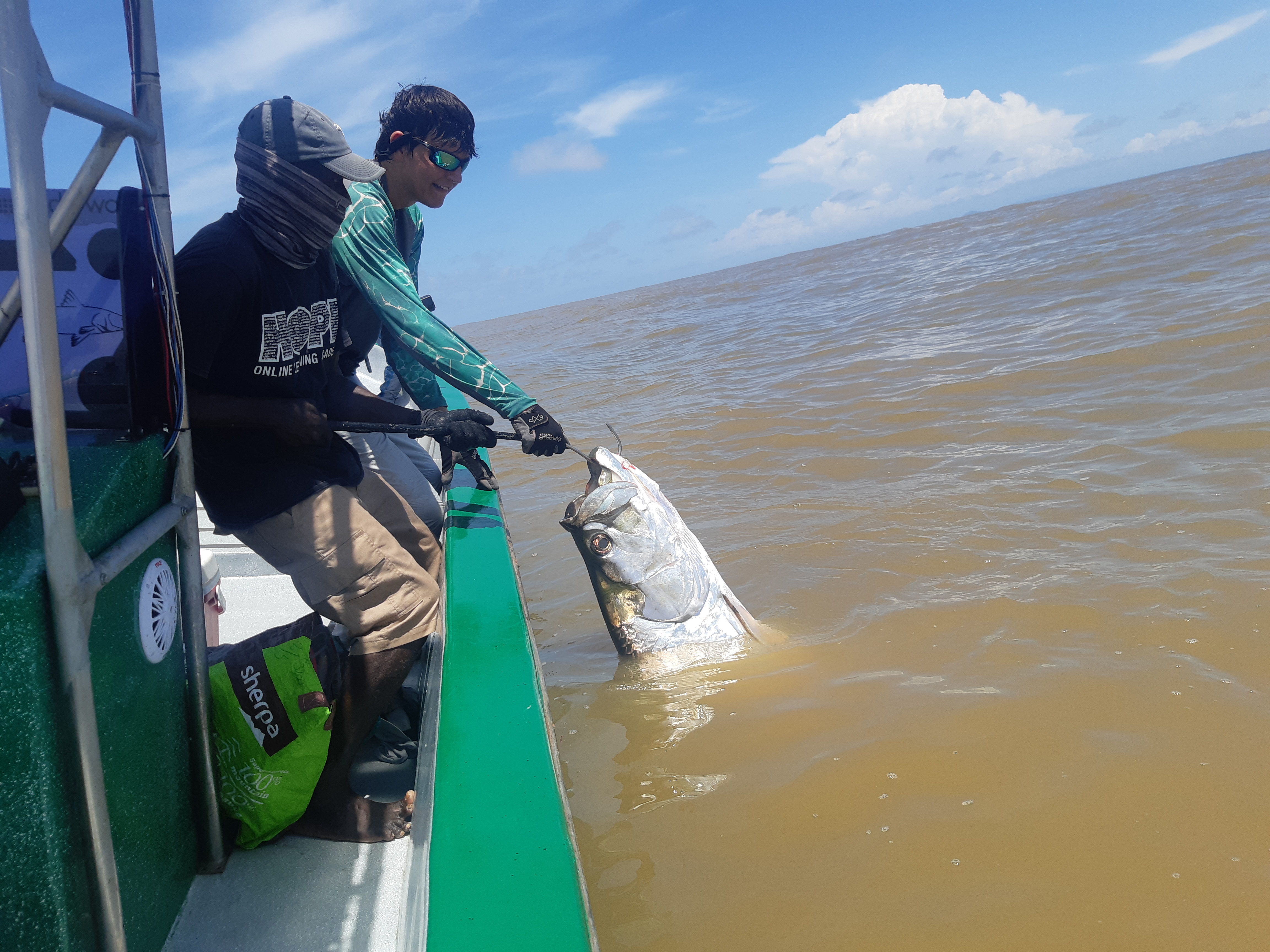 Tarpons Buena Vista Sport Fishing