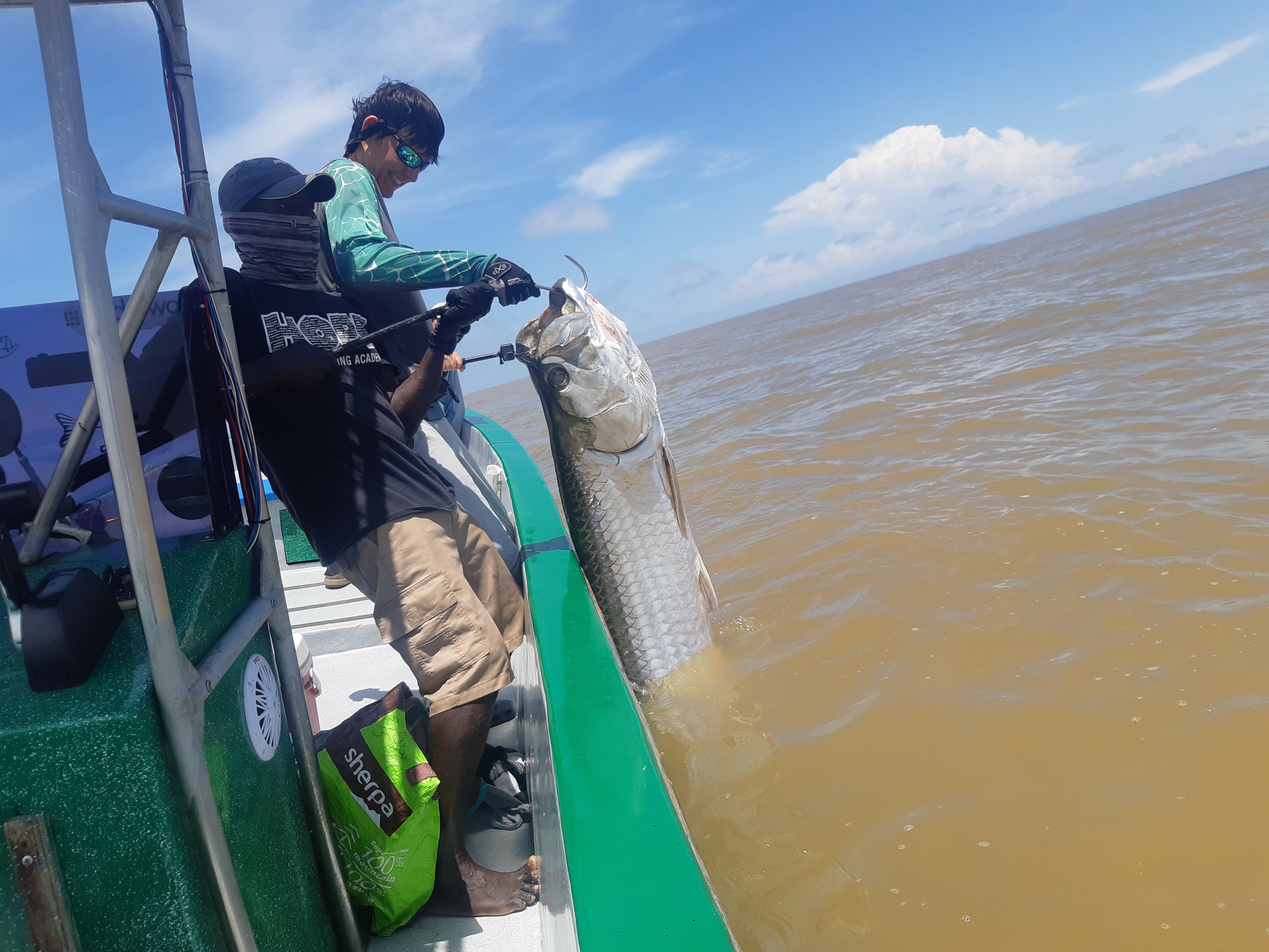 Tarpons Buean vista Sport Fishing