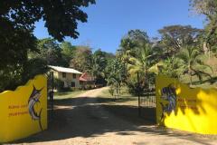 IMG-20190124-WA0005