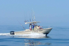 IMG-20201119-WA0005