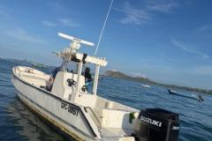 IMG-20260506-WA0012