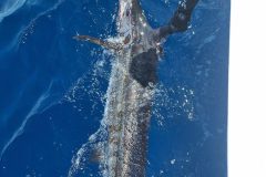 20250111_104105-scaled