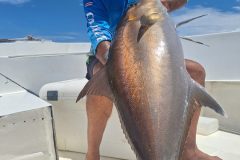 20250804_113335-scaled
