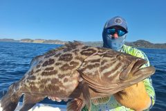20260121_0803540-scaled