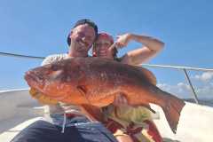 IMG-20260216-WA0029