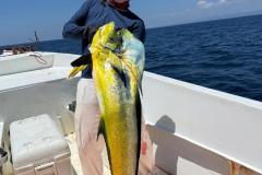 IMG-20260325-WA0015