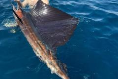 IMG-20260416-WA0031